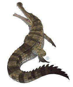 Sarcosuchus Illustration