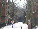 Sheepshead Houses, Sheepshead Bay