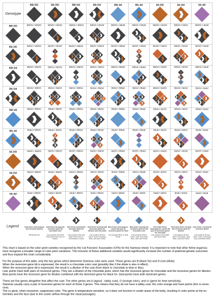 File:Siamese gene chart.svg