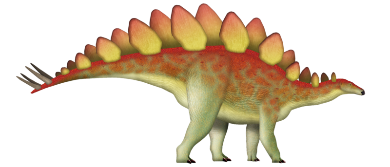 File:Stegosaurus UDL.png