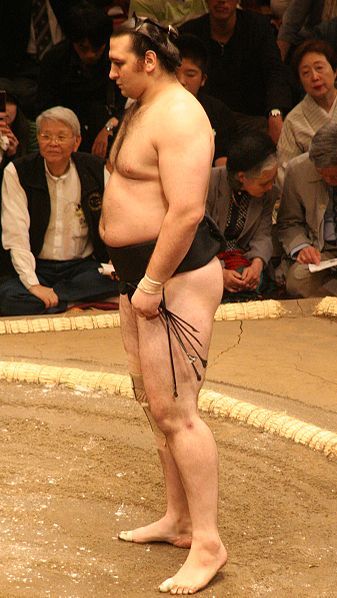 File:Sumo May09 Kotooshu.jpg