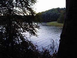 A body of water surrounded by greenery.