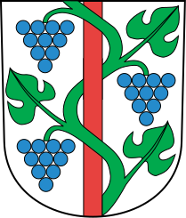 File:Weinfelden-blazon.svg