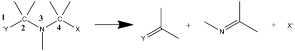 3-Aza-Grob Fragmentation Scheme