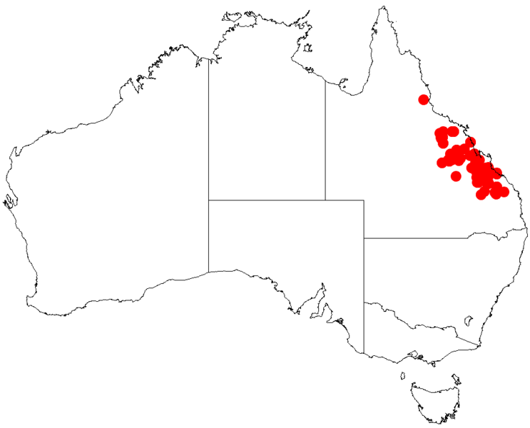 File:Acacia rhodoxylonDistMap767.png