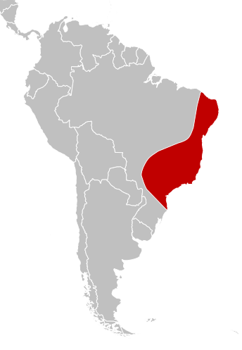 File:Boana crepitans distribution.svg