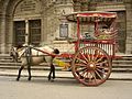 Image 25Kalesa, a traditional Philippine urban transportation, in front of Manila Cathedral entrance (from Culture of the Philippines)