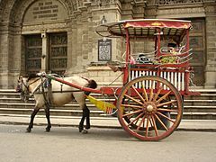 A kalesa in front of the Manila Cathedral