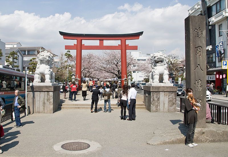 File:Cherry-Blossoms-Dankazura-Kamakura.jpg