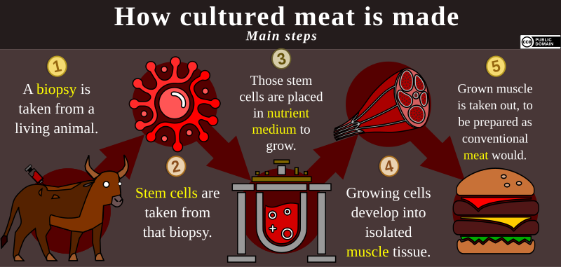 File:CultMeatProdEN.svg