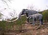 Fibreglass life size model of extinct Elephant of Shivalik Hills