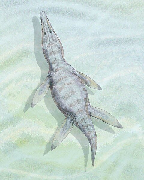 File:Kronosaurus bojacens1DB.jpg