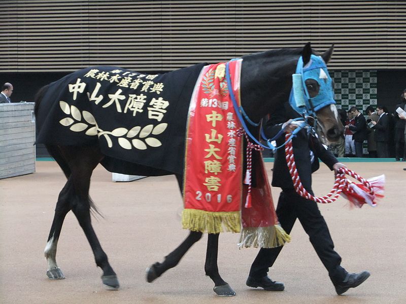 File:Oju Chosan-20161223.jpg