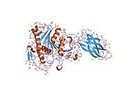 1gpl: RP2 LIPASE