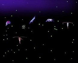 Six relatively large variously shaped organisms with dozens of small light-colored dots all against a dark background. Some of the organisms have antennae that are longer than their bodies.