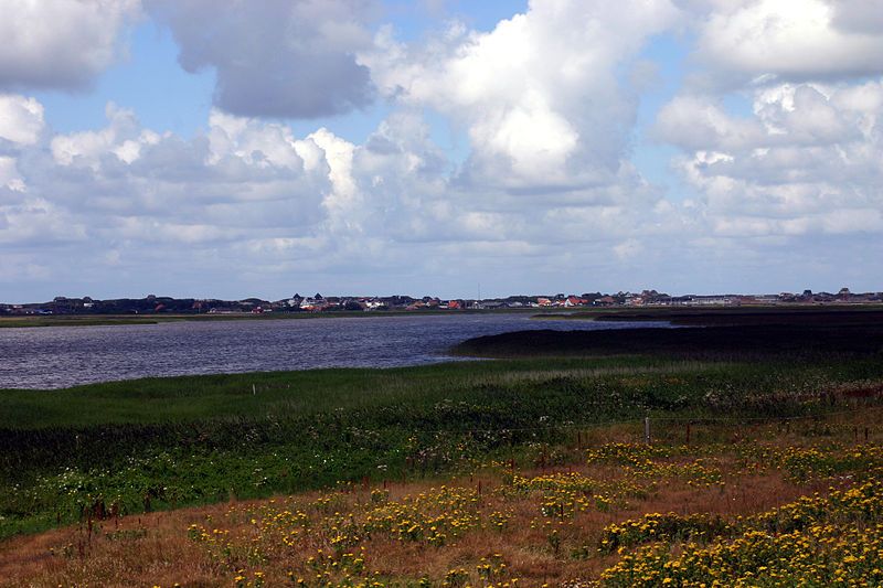 File:Søndervig, Denmark 8436.jpg