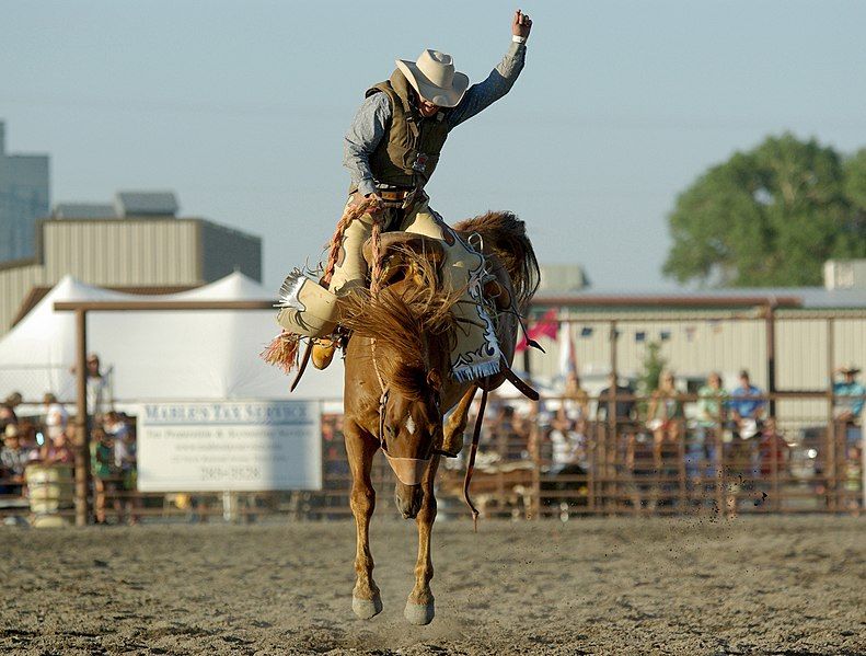 File:Saddlebronc.jpg