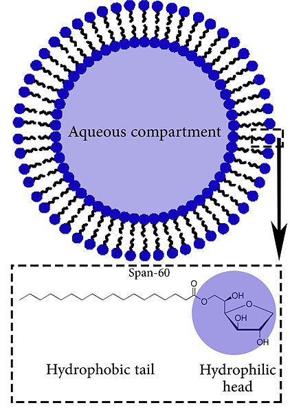 File:Schematic 2.jpg