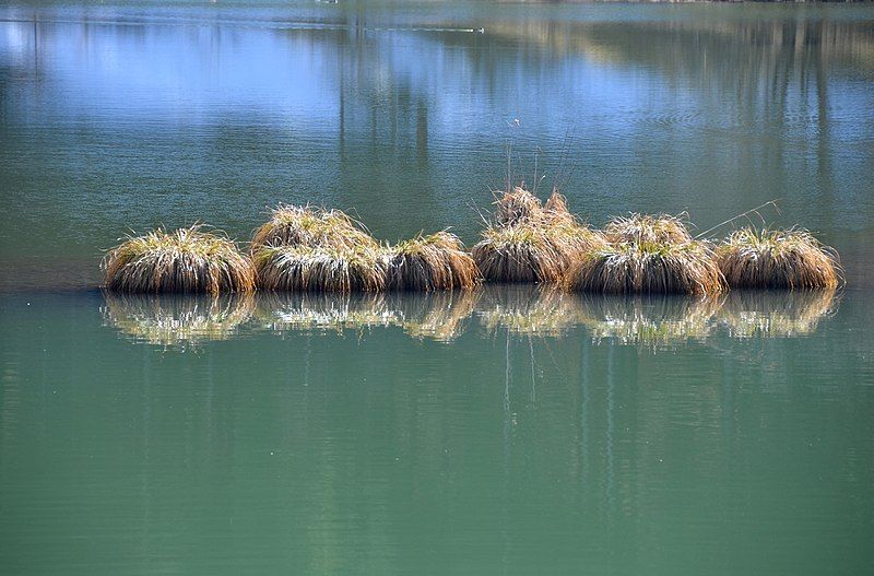 File:Stausee Kohlstatt-Brunnenbach, Oberdigisheim.jpg