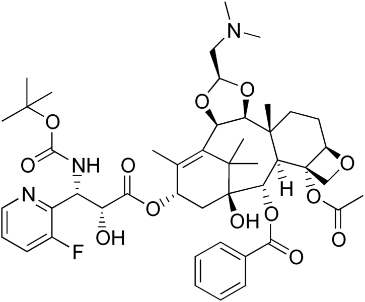 File:Tesetaxel.png