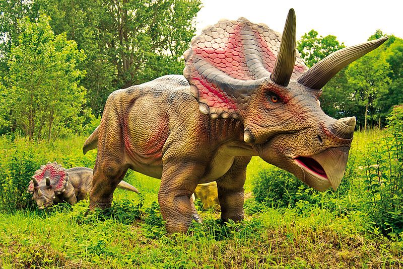 File:Triceratops Dinosaurierland.jpg