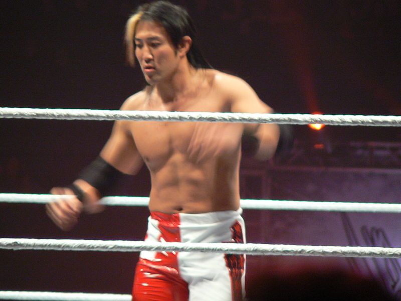 File:Yoshi Tatsu.jpg