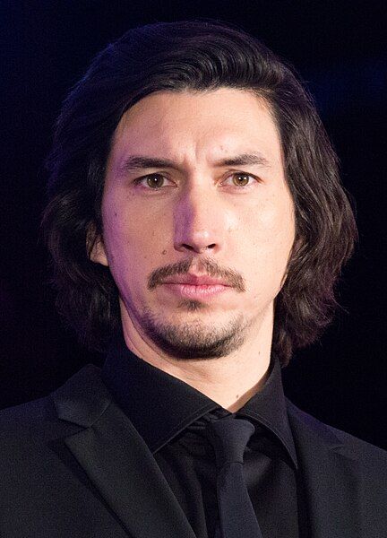 File:Adam Driver 2017.jpg