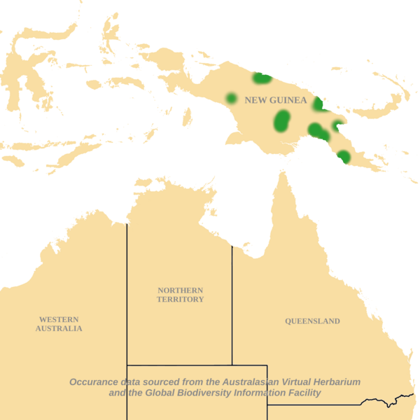 File:Atractocarpus-decorus-distribution-map.png