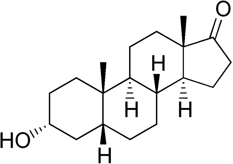 File:Etiocholanolone.png