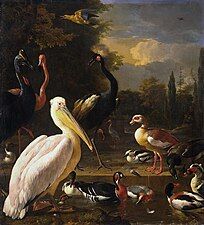 Pelican and Birds Near a Pool, "The Floating Feather" (ca. 1680), oil on canvas, 159 x144 cm., Rijksmuseum