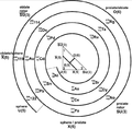 Nuclear shells, from the interacting boson approach (IBA)