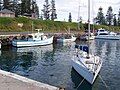 Kiama harbour