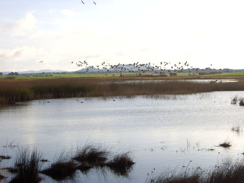 File:Laguna de Petrola.JPG