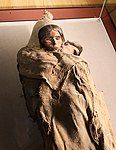 Another "Loulan Beauty", excavated in 2004. Buried at the age of 25, she is 3800 years old