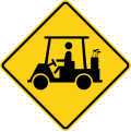 W11-11 Golf cart