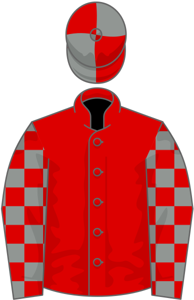 File:Owner Filly Syndicate.svg