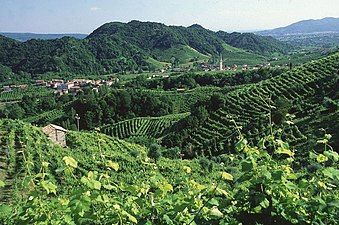 Prosecco Valley, UNESCO