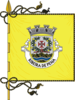 Flag of Ribeira de Pena