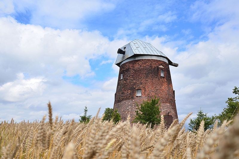 File:Radzyń-Wybudowanie, wiatrak holender.jpg