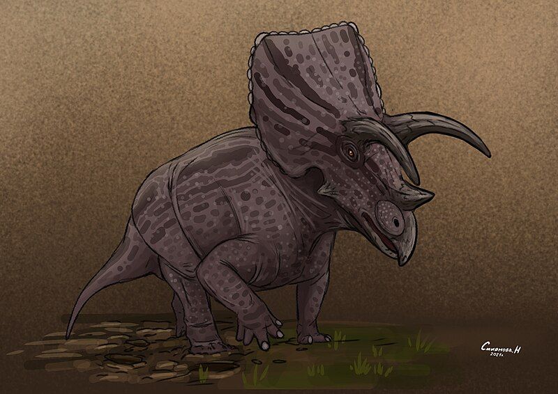 File:Sierraceratops.jpg