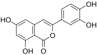 Chemical structure of thunberginol B