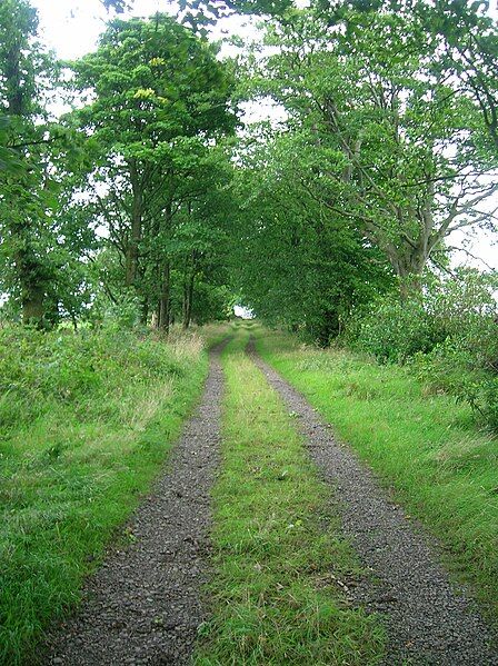 File:Trearne drive.JPG