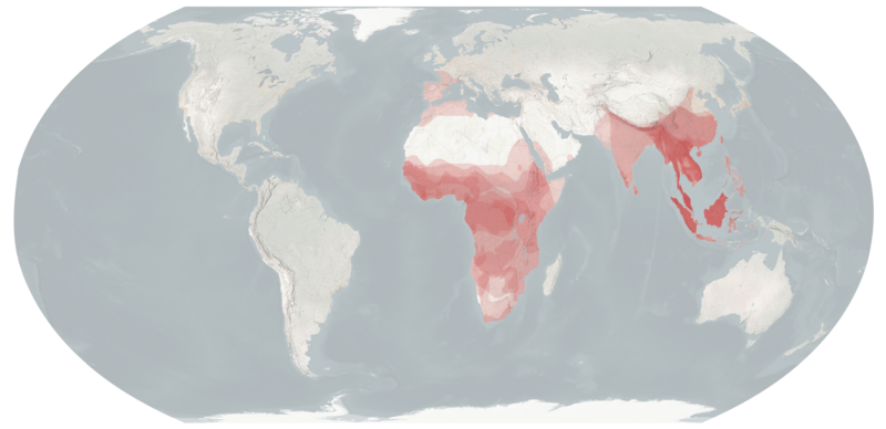 File:Viverridae Distribution.png