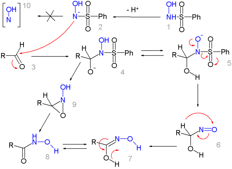 File:Angeli-rimini mechanism.png