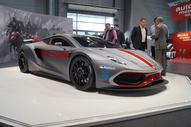 File:Arrinera Hussarya (MSP15).JPG