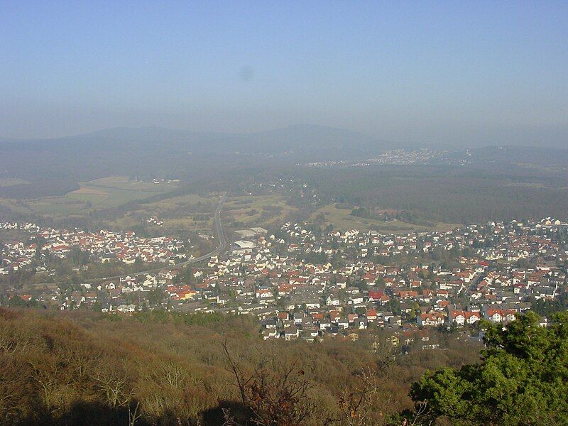 File:Blick ueber Fischbach.JPG