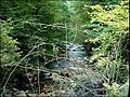 Image 27Bode Gorge (from Harz)