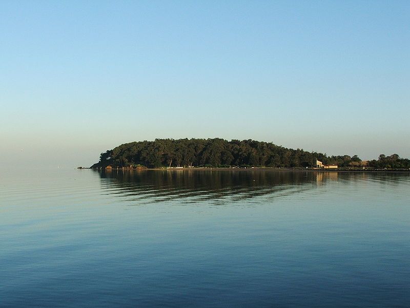 File:Coyote point.jpg