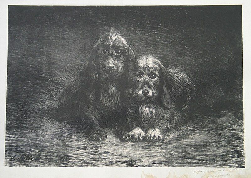 File:Deux Chiens.jpg