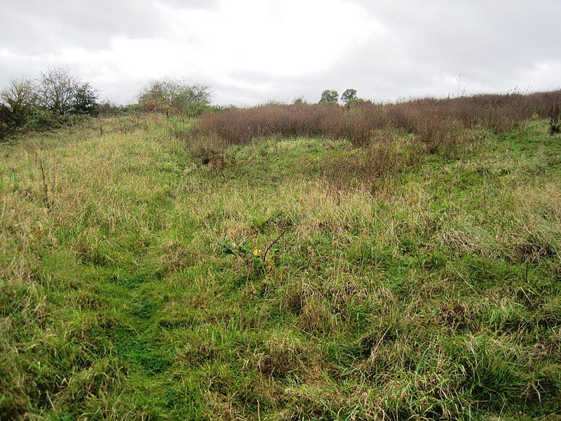 File:Enderby Warren Quarry.jpg